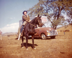 Baci as an extra during the filming of Rawhide